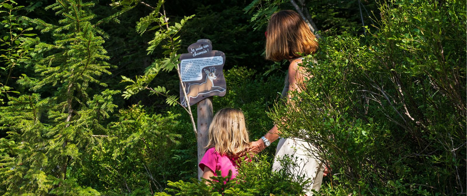 thematisation sentier le bois du croe par agence ho5