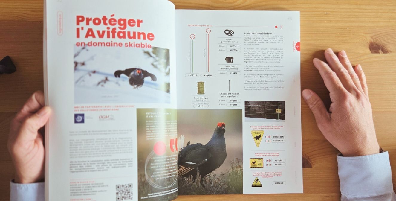 creation catalogue MBS par agence ho5