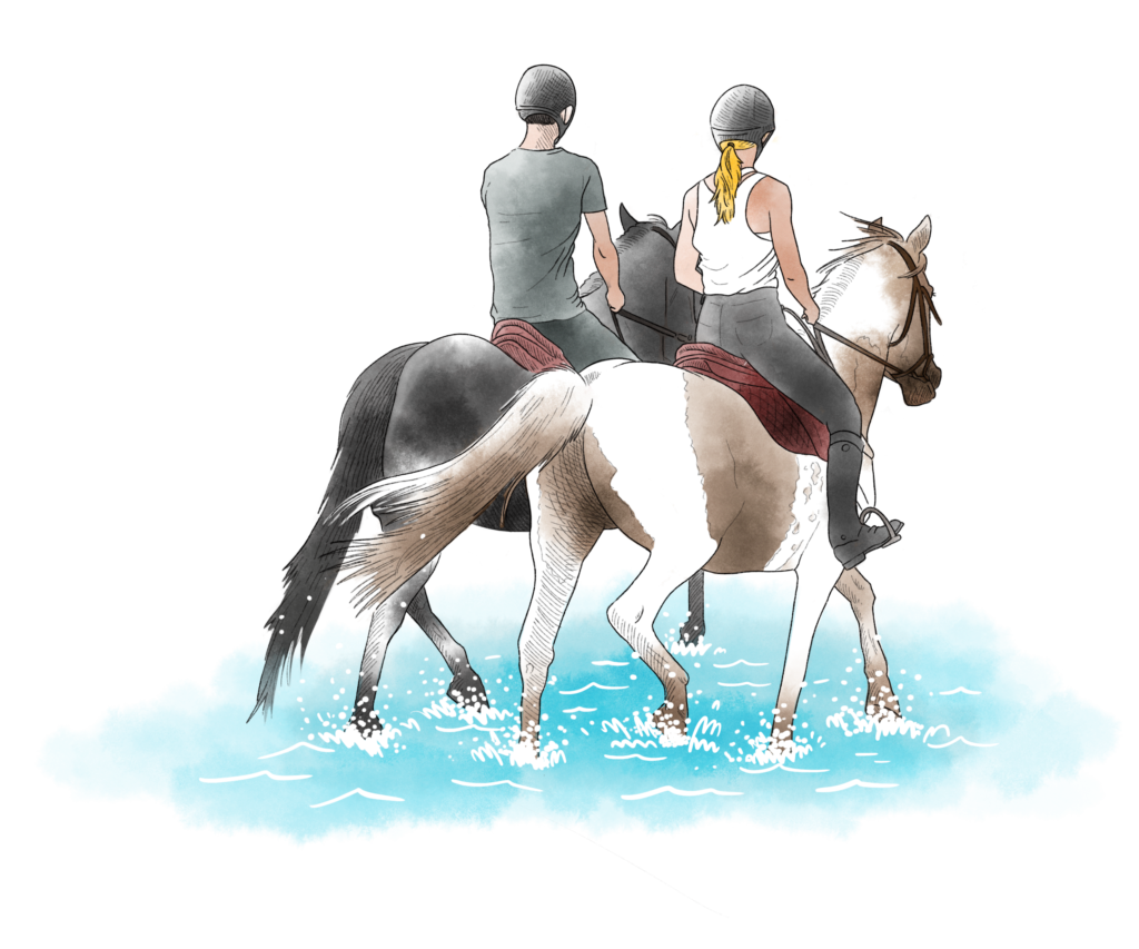 Illustration chevaux argeles sur mer par l'agence ho5
