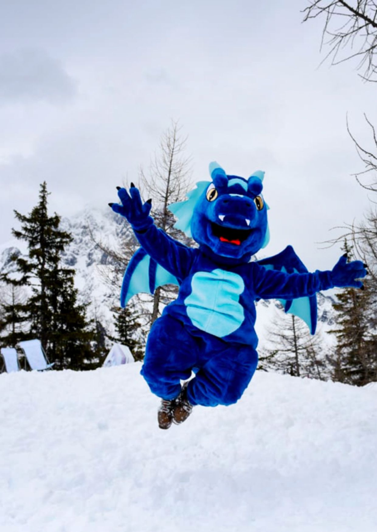 Vallée de Chamonix Mont-Blanc