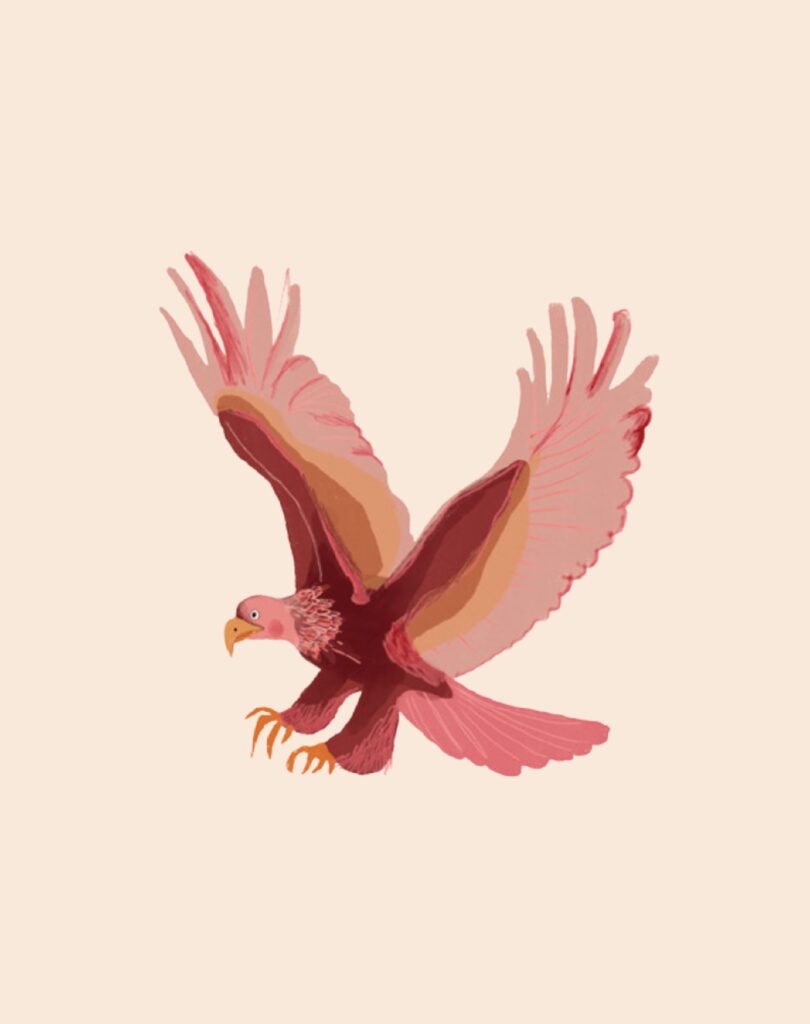 creation magazine touristique vallée de la dordogne par agence ho5